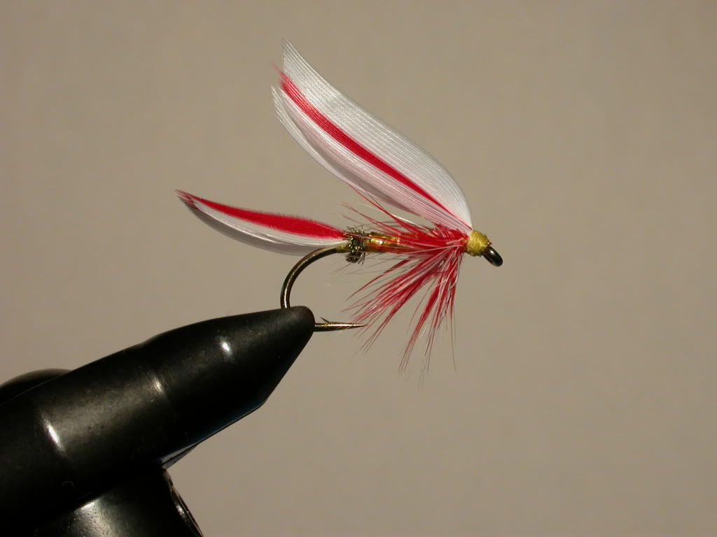Married Wing Wet Flies The North American Fly Fishing Forum